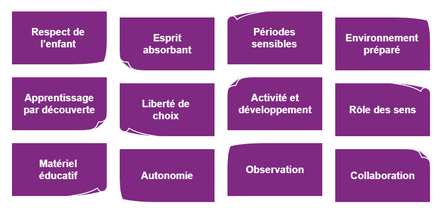 12 principes