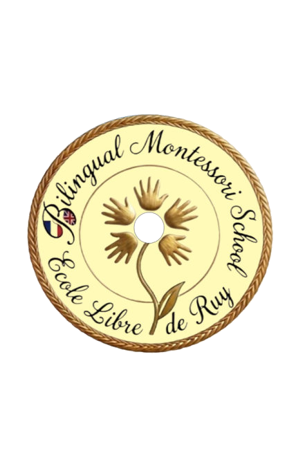 logo transparent